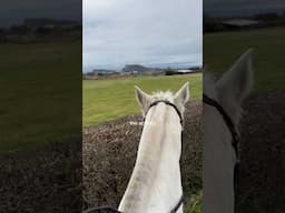 becoming a horse girl 🐴 #edinburghscotland