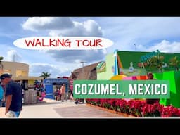 Cozumel, Mexico WALKING TOUR | Cruise Port Exploration