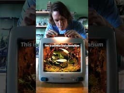 This is an iMac and a terrarium