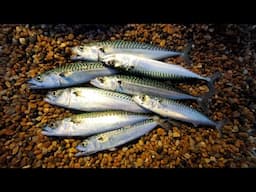 British Surf Fishing Hacks - Trying out Surf Fishing in the UK