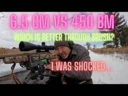 Which is the Better Brush Gun?  6.5 CM or 450 BM?