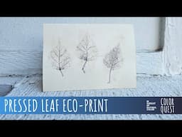 HOW TO ECO-PRINT WITH PRESSED LEAVES | ORGANIC COLOR | IRON TANNIN | BLACK & WHITE | IDAHO FORAGING