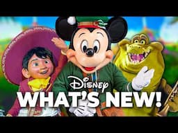 Top 10 NEW Disney Rides, Updates & Changes at the Disney Theme Parks- November 2024!