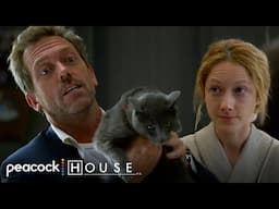 This Cat Predicts Your Death? | House M.D