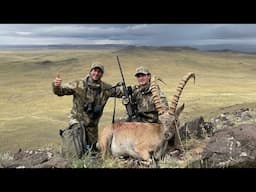 IBEX Mongolia Gobi Ibex / Gobi Desert Ibex hunt