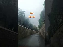 JALAN TIKUS DI FLORENCE ITALY / Shortcut Road in Florence Italy/ FLORENCE IN JANUARY