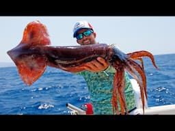 HUGE Squid Fishing in Italy