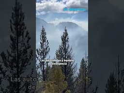 Incendio forestal en la Patagonia obliga a excursionistas a evacuar