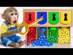 KiKi Monkey play Color Challenge to eat Rainbow M&M Candy in Candy Dispenser | KUDO ANIMAL KIKI