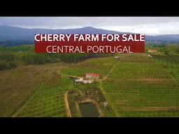 3 HECTARE TURNKEY CHERRY FARM IN CENTRAL PORTUGAL - HOMESTEAD FOR SALE, FUNDAO