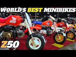 Honda Z50 Minibikes: Restoring Legends with Dennis of HONDA MINI