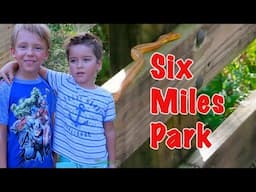 Тема с друзьями в парке Флориды Six Miles Park Fort Myers