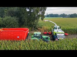 Mais 2024 / Claas Jaguar 970 / Peters Haps / Maize silage