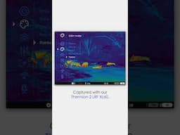 Feral pigs captured with our new Thermion 2 LRF XL60 device. #pulsarvision