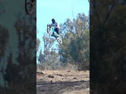 Awesome Fly ⚡⚡⚡ #freeride #mtb #downhill