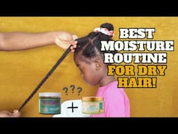 WATCH THIS the best moisture routine in between washes for DRY hair!