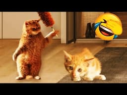 🐱 Cute and funny animals video compilation 🐱 Funniest Catss 2024 😍😹