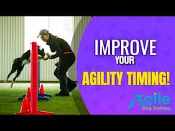 Improve Your Dog Agility Timing