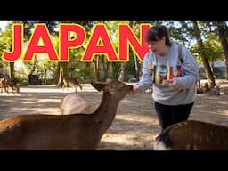 Don’t Miss This In Japan: 48 Amazing Hours In Kyoto & Nara!