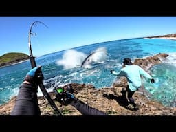 Huge Fish gets Airborne Eating Lures! (Big Fish Camping Trip)