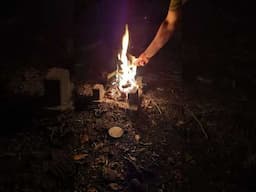 campfire live stream