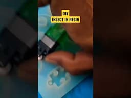 DIY RESIN INSECT #resin #resinart #resintutorial #diyresin #diy #epoxyresin #artresin #resinpour