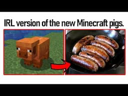 People don't like the new Minecraft pigs lol