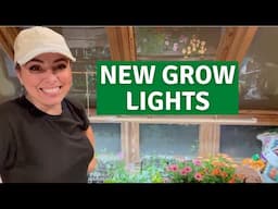 Indoor GROW LIGHTS [Install with me] & Indoor SEEDS Part 4