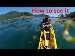 Sea kayaking | Forward stroke mistake almost everyone makes Part 1.