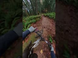 Epic Downhill Trail in a rain forrest!  #downhillbiking #mtb #gopro