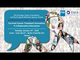 Cervical Cancer Treatment Innovation: A Collaborative Discussion