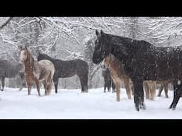 Folk Guitar Traditional Hymns, Peaceful  Music, "Winter Morning Peace" by Tim Janis