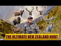 THE ULTIMATE NEW ZEALAND HUNT