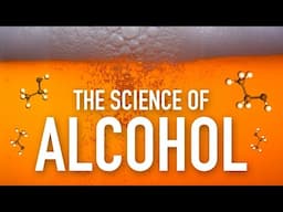 How Does Alcohol Work? The Effect it has on the Human Body, Explained