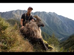 South Westland Wandering - Bull Tahr