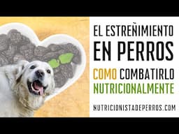 El estreñimiento en perros, como combatirlo nutricionalmente.