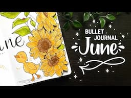 June 2022 Bullet Journal Plan With Me 🐥🐞🌻 Planner Inspiration