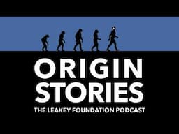 Origin Stories: Top Human Origins Discoveries of 2024 (audio-only)