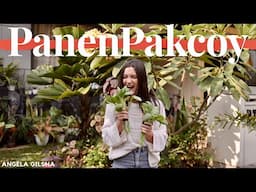 Panen Pakcoy | Hidroponik #Eps1