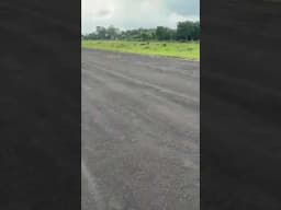 Leopard and her cubs were spotted crossing the airstrip in Seoni, Madhya Pradesh