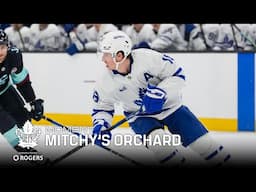 Mitchy's Orchard | The Leaf: Blueprint Moment