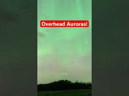 Overhead Auroras! #weather #stormchasing #outdoors #science #northernlights #photography