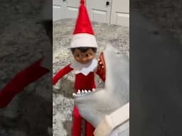 EVIL ELF ATTACKS SHARK PUPPET!