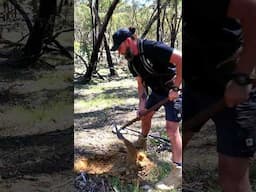 Natural Gold nugget found deep in the Australian Bush