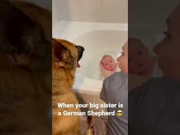 German Shepherd and baby bath time