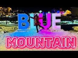 BLUE MOUNTAIN WINTER ACTIVITIES 2024