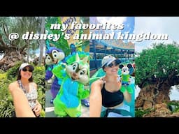 the best disney park? 👀 animal kingdom! || disney vlogs 2024