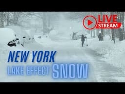 LIVE | LAKE EFFECT SNOW NEW YORK