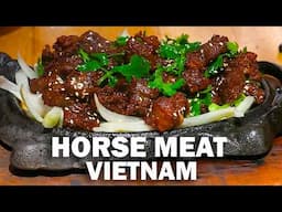 A Dish Few Dare to Try 🇻🇳 HORSE MEAT & Northern Vietnam Delicacies