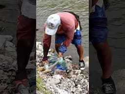 ¡Así se pesca! Mira la sorpresa al retirar la red del agua